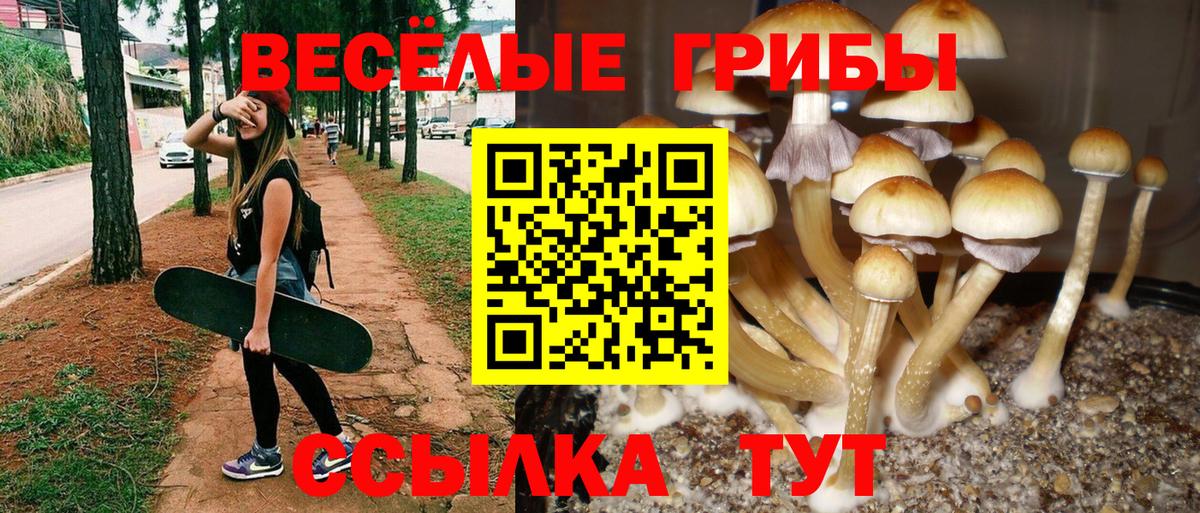 Псилоцибиновые грибы GOLDEN TEACHER  Вход с VPN  Моздок 