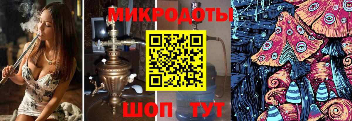 Псилоцибиновые грибы Psilocybe Моздок