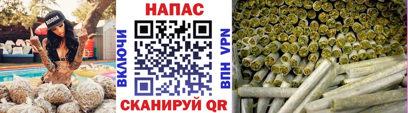 где найти Моздок Каннабис Amnesia